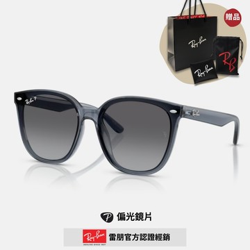 【RayBan 雷朋】橢圓膠框偏光太陽眼鏡(RB4423D-6592T3 66mm)