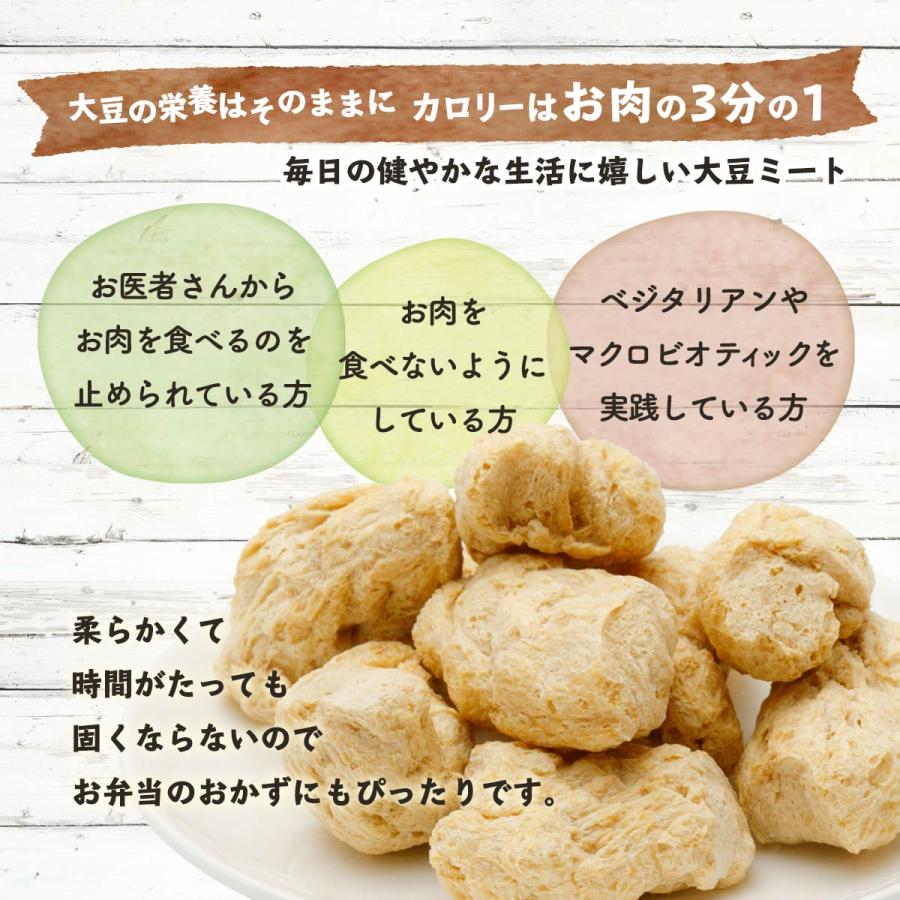 大豆ミート 信州物産 畑のお肉 ブロックタイプ 100g  大豆ミート ソイミート 乾燥食品 乾物 健康食品 低カロリー 信州物産 唐揚げ 大豆のお肉 大豆の栄養