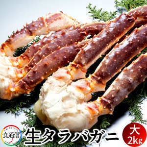 たらばがに 生たらばがに足 大2kg タラバガニ脚肉 生 本たらば 蟹足