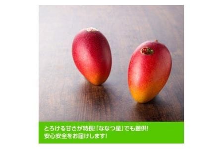 宮崎県産マンゴー「おひさまハニーマンゴー」２Ｌ（大）×２玉