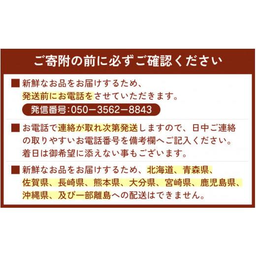 ふるさと納税 福井県 敦賀市 [076-o002] 越前がに × 1杯（茹で前重量：1101g〜1300g）【お届けできない時期：12月上旬〜…