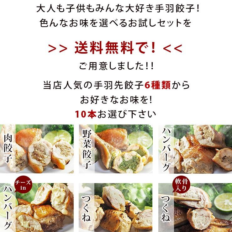  手羽餃子 お試し 10本セット（5本入×2袋）手羽先餃子 肉餃子 バーベキュー BBQ 焼き鳥 焼鳥 焼肉 父の日 プレゼント 惣菜 冷凍