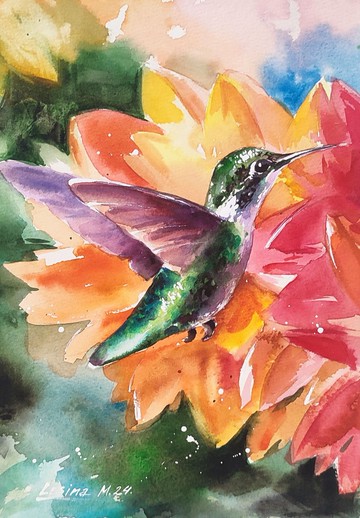 蜂鳥水彩畫雀插圖多彩原創藝術手作