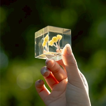 日本 Sola Cube 京都漂浮花物 透明宇宙 不凋花 小