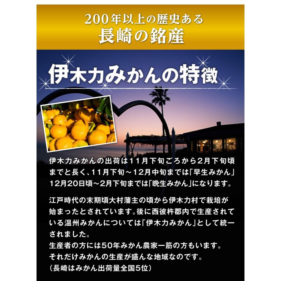 ポイント5倍 ギフト みかん 伊木力 長崎 早生 温州ミカン 秀品 小玉 S・2S ５kg（2.5kg×2箱） 送料無料 産直 甘い蜜柑 贈答用 グルメ 内祝 お歳暮 Y常