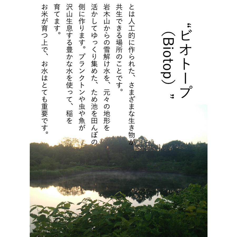 新米  米 20kg 5年産  青森県産 特別栽培米 青天の霹靂 青森県産 白米20kg （5kg×4）特栽 お米 