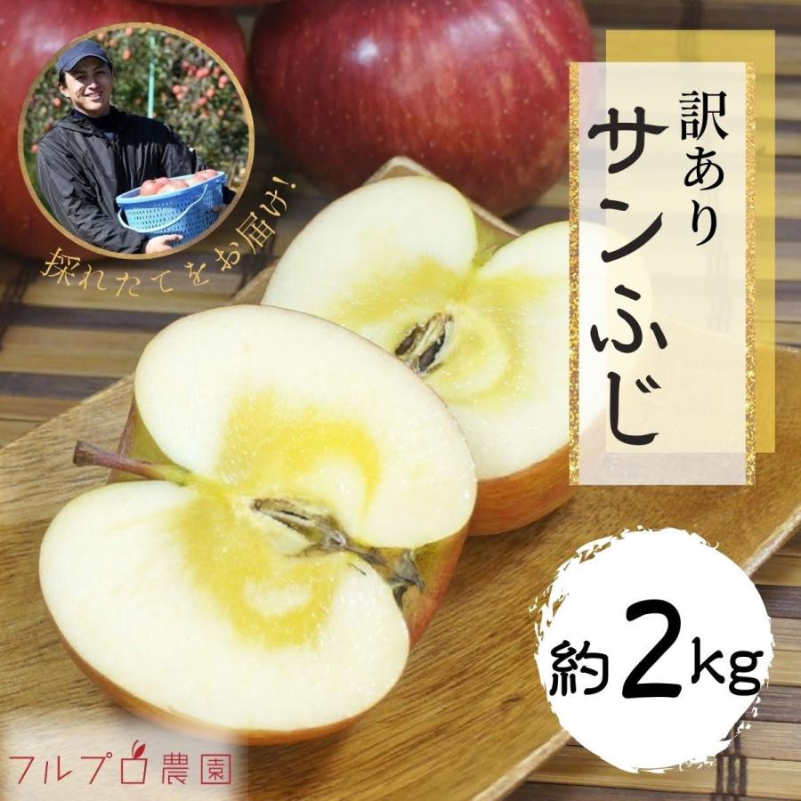 サンふじ約2kg(7-14玉) 11月中旬頃から発送開始予定 長野県産 送料無料 #YAF0B020