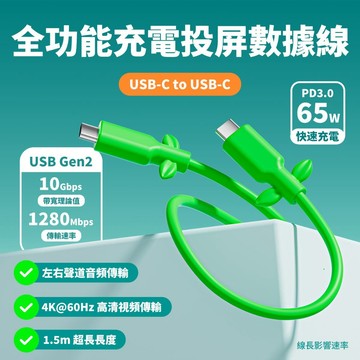 POWKONG Type-C葉子傳輸線 USB3.1 快充線