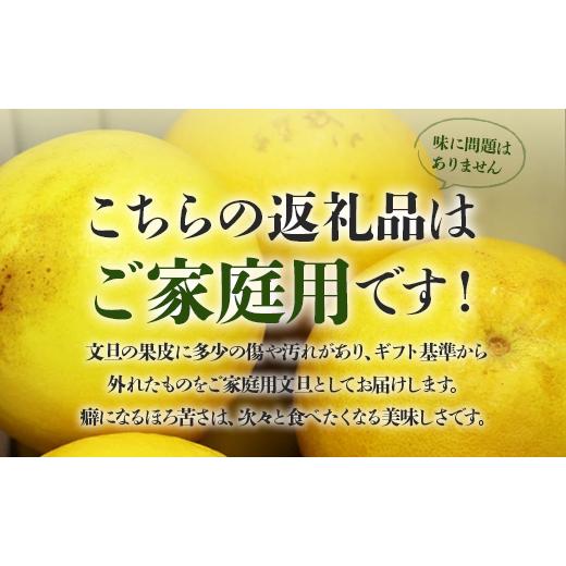 ふるさと納税 高知県 香南市 間城農園 土佐文旦10kg (家庭用)(2L〜4Lサイズ) 高知産 土佐文旦 柑橘 フルーツ 文旦 ぶんたん ブンタン 果物 Bms-0019