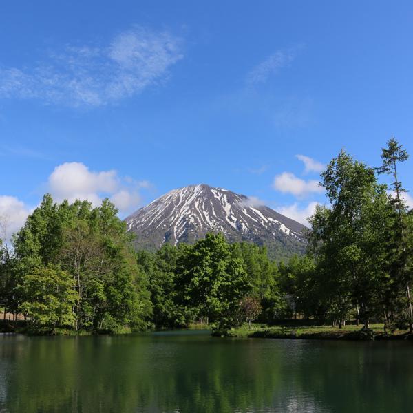 農家のそばや羊蹄山 にしんそばセット 4人前｜倶知安北海道年越しそば   ［常温発送］