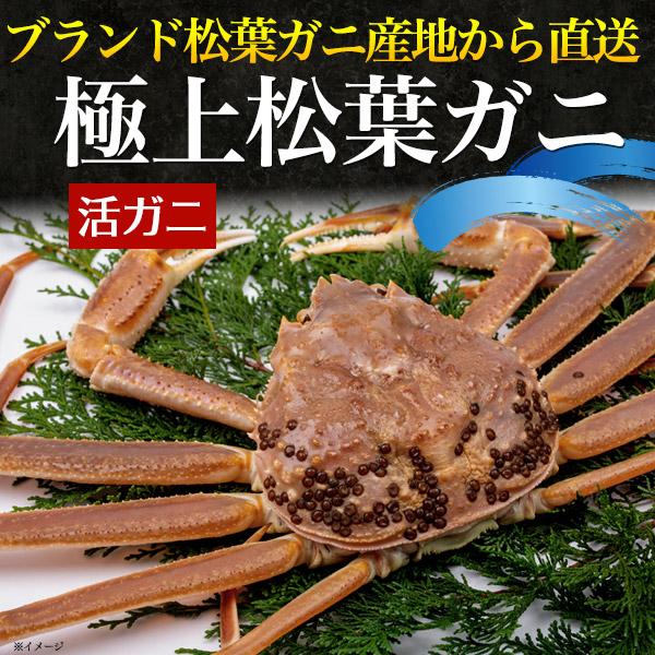 ズワイガニ 生 姿 訳あり 700~800g 2杯セット 活き 松葉ガニ 境港 1本足落ち 訳アリ 松葉かに お取り寄せグルメ 国産 カニ 蟹 漁港直送 冷蔵便