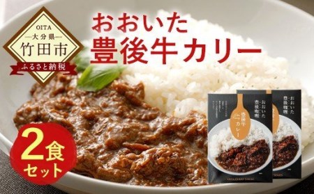 大分県産 おおいた 豊後牛カリー 2食セット 200g×2個