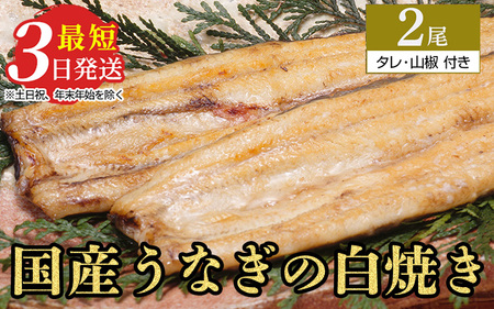 うなぎ白焼き　2尾（120g以上×2尾） メディアに紹介されたうなぎ屋 国産 冷蔵 うなぎ 鰻 ウナギ タレ・山椒つき しら焼き ※着日指定不可 ※離島への配送不可