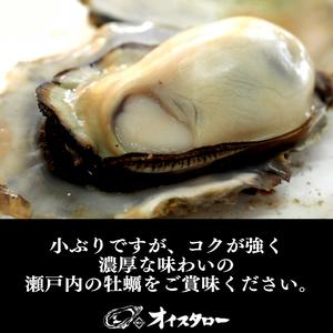 ふるさと納税 牡蠣 国産 牡蠣 殻付き 牡蠣 約2kg 牡蠣 加熱用 牡蠣 新鮮 牡蠣 産地直送 牡蠣 香川 牡蠣 さぬき市 牡蠣 加熱専用 牡蠣 香川県さぬき市