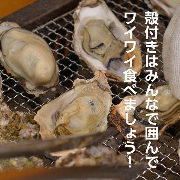 広島県産 島田水産 牡蠣詰め合せ むき身1.0kg 殻付10個