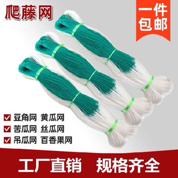 藤蔓尼龍網搭架網爬藤網羅漢果南瓜網藤架網棚架網固定網大棚用網