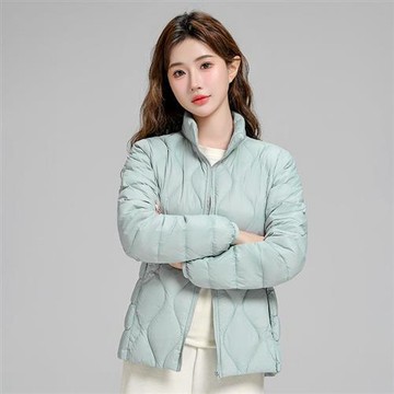 【巴黎精品】輕羽絨外套鴨絨夾克-立領保暖短款修身女外套6色a1hd5