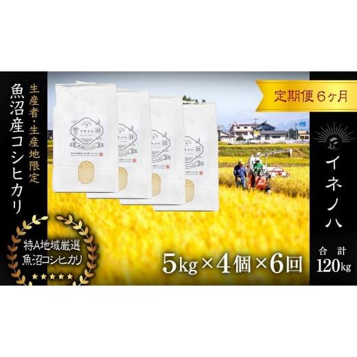 ふるさと納税 新潟県 十日町市 ＜定期便・全6回＞魚沼産コシヒカリ「イネノハ 」精米(5kg×4)×6回