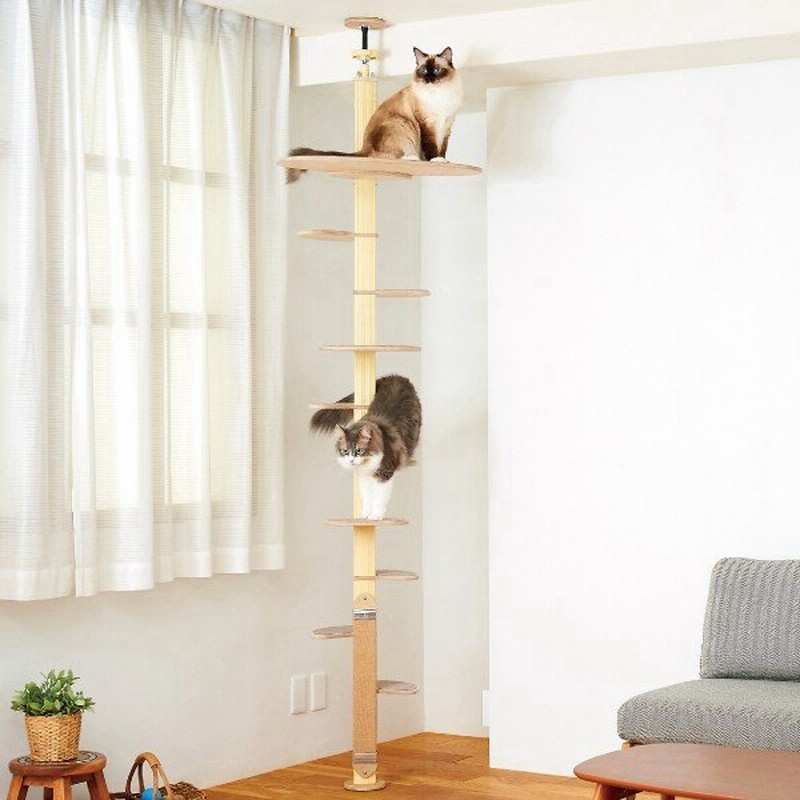 Oft キャットバンテージ プラス Ver2 猫 ねこ 爪とぎ 大型 木製 ポール キャットタワー おしゃれ シンプル スリム おすすめ 人気 通販 Lineポイント最大get Lineショッピング