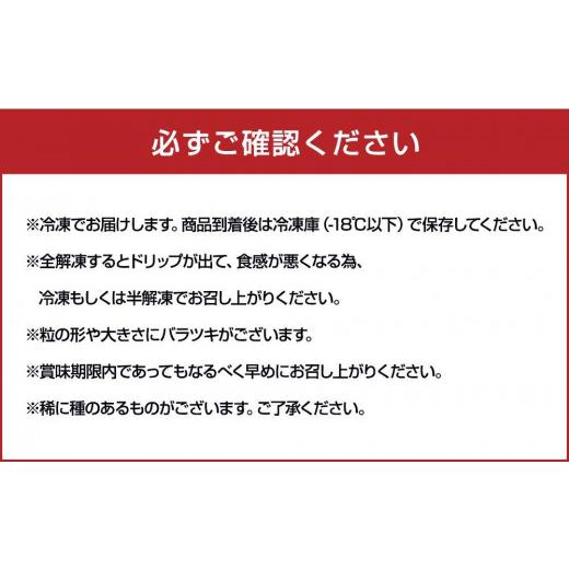 ふるさと納税 福岡県 八女市  かの蜂 冷凍フルーツ 巨峰 種なし 1.5kg （500g×3袋）  国産 種なし巨峰