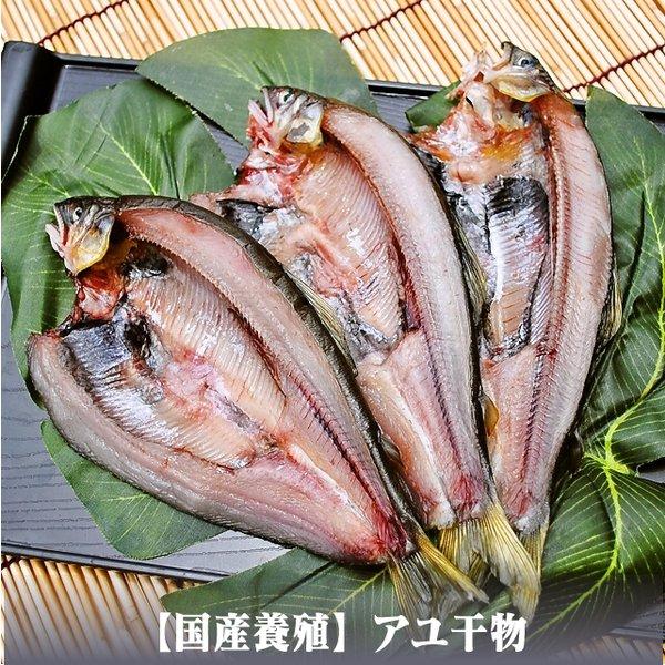 お歳暮 ギフト 干物 お取り寄せ グルメ プレゼント 贈答品  干物 送料無料  おまかせ干物セット5000円コース  魚 食品 おかず