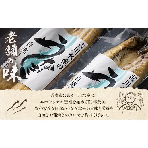 ふるさと納税 高知県 香南市 高知県産うなぎの白焼(140〜150g)×2尾 蒲焼きのタレ付き yw-0049