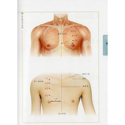 ツボ図解　第3版　伝統的鍼灸経穴数値化対話シリーズ　健康養生・中国語版書籍 取穴#22270;解　第3版　#20256;#32479;#38024;灸#32463