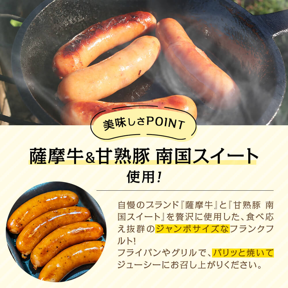 薩摩のフランクフルト 240g×5パック(計10本)