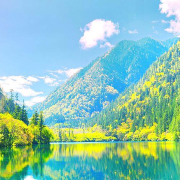 春光乍現九寨溝黃龍仙境之旅8日(2-3月)-文化交流團