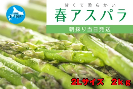 北海道産　寅福菜園の朝採れ春アスパラ　2Lサイズ2㎏