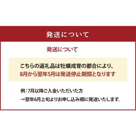 ふるさと納税 岩ガキ 合計約1.5kg（約150g×10個）加熱用 冷蔵 岩牡蠣 熊本県上天草市