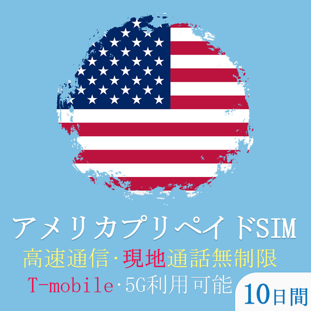 eSIM アメリカ ハワイ カナダ 30日間 10GB プリペイドsim 簡単設定 説明書付 4G LTE回線 データ通信専用 esim対応simフリー端末のみ対応