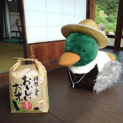 ふるさと納税 飯南町 カモしゃん米　玄米5kg