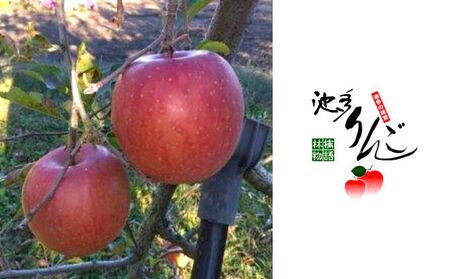 りんご 池多りんご ふじ 5kg 18玉 果物 フルーツ リンゴ 林檎 デザート おやつ 富山 富山県