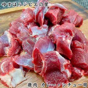 鹿　端肉　カレー・シチュー用（約5ｃｍ角）1ｋｇ ゆすはらジビエの里 冷凍便 高知県産 シカ ジビエカー GIBIER しか 鹿肉 国産