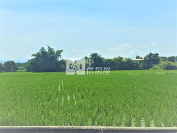 大里夏田產業園區6米路農地｜台中市大里區夏田西段