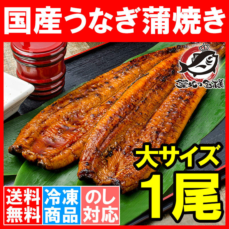 送料無料 国産うなぎ蒲焼き 大サイズ 平均165g前後×1尾