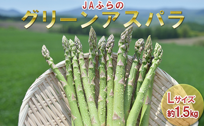 北海道 富良野市産 グリーン アスパラ Lサイズ 約1.5kg 秀品 150g×10束 (JAふらの)