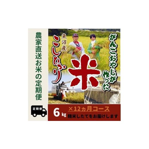 ふるさと納税 新潟県 南魚沼市 令和５年産新米がんこおやじが作った南魚沼産コシヒカリ白米６kg（３kg×２袋）