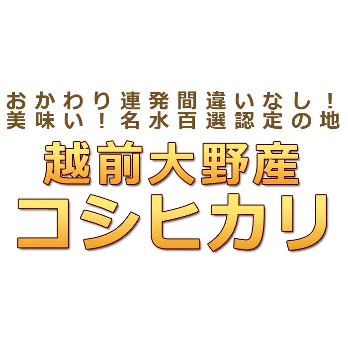 新米 米 5kg コシヒカリ 福井県大野産 白米 令和5年産 送料無料