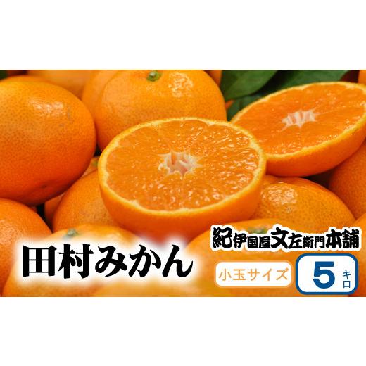 ふるさと納税 和歌山県 すさみ町 田村みかん 5kg 秀品／紀州和歌山有田郡湯浅町田村地区産 ◆2023年11月下旬〜2024年1月下旬頃に発送(お届け日…