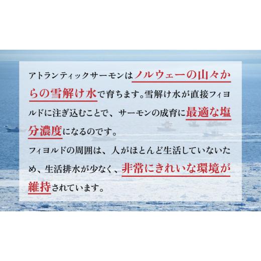 ふるさと納税 北海道 登別市 とろとろサーモン地獄漬100g×3個