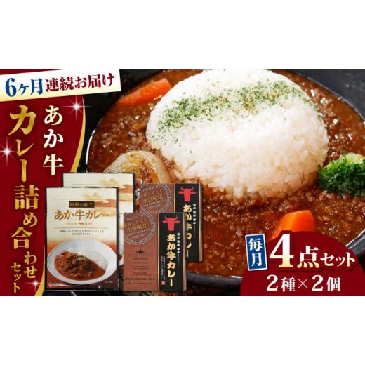 ふるさと納税 熊本県 山都町 熊本県産 あか牛 カレー詰め合わせセット 計4個 カレー 2種 各2個 熊本和牛[YCG080] 90…