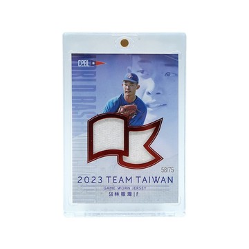 2023 CPBL TEAM TAIWAN 林振瑋 實戰球衣卡