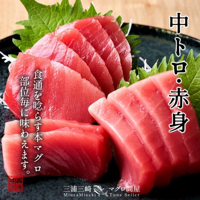 まぐろ 天然 本まぐろ 詰合せ 500g［中トロ1、赤身2、すき身2］刺身用