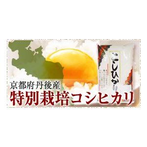 令和３年度産　無洗米5キロ　特A　★京都府丹後産特別栽培コシヒカリ　ギフトに