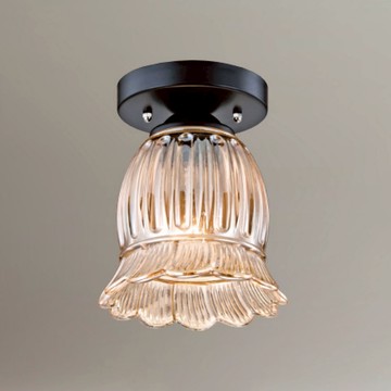 E27單吸頂燈 B250-53-12-4046