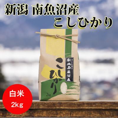 ふるさと納税 南魚沼市 南魚沼産こしひかり(精米)