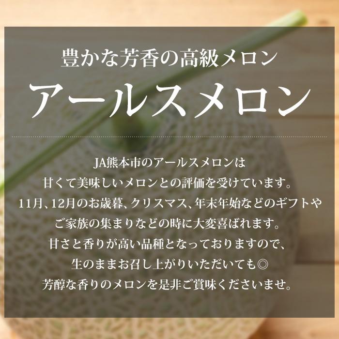 メロン 熊本県産 アールスメロン 約3.6kg以上（約1.8kg以上 1玉）2玉