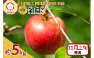  りんご 5kg 紅玉 青森